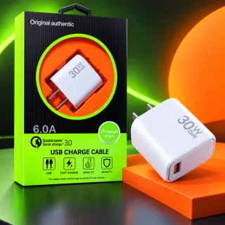 TL-08 30W Adapter