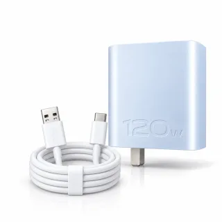 Vivo 120W Charger