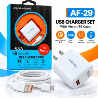 AF-29 25W Micro