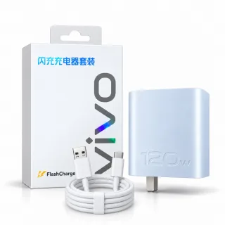 Vivo 120W Charger